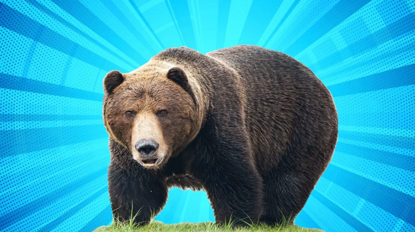 Party Details, Fat Bears, and a Midwestern Man of Mystery Party Details, Fat Bears, and a Midwestern Man of Mystery