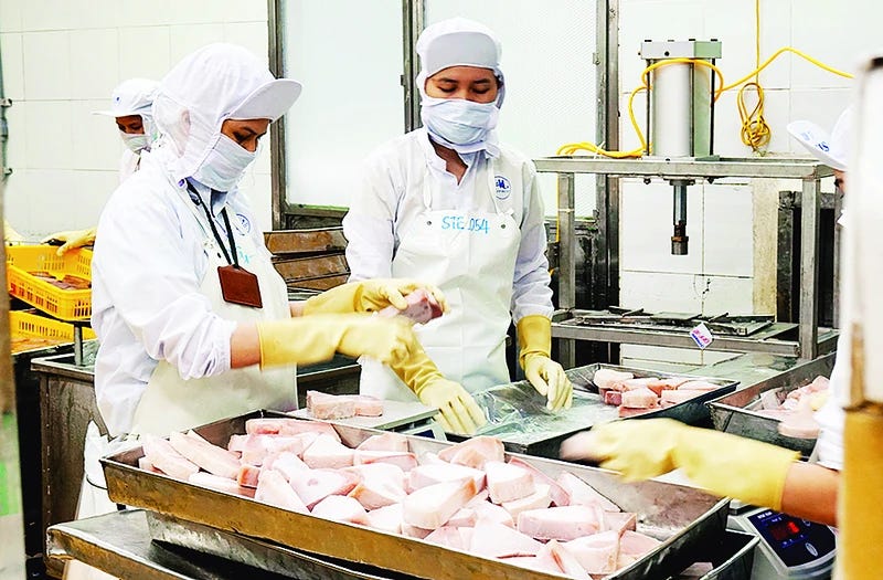 Xuất khẩu thủy sản đạt 10 tỷ USD năm 2024. Ảnh: NAM ANH Xuất khẩu thủy sản đạt 10 tỷ USD năm 2024. Ảnh: NAM ANH