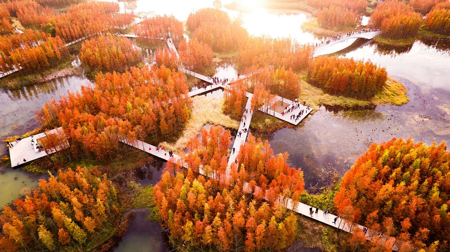 Nanchang Fish Tail Park. © Kongjian Yu, Turenscape. Nanchang Fish Tail Park. © Kongjian Yu, Turenscape.