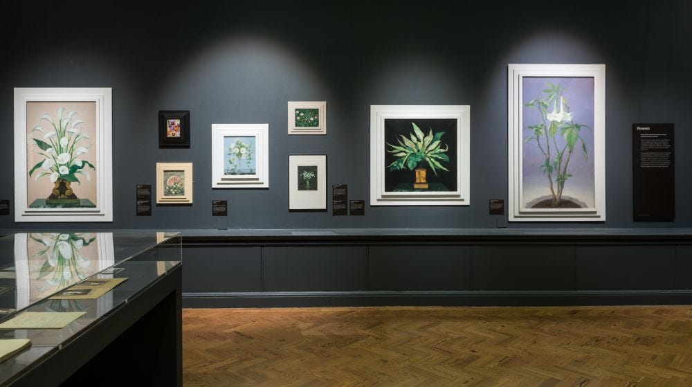 Black gallery wall displaying various botanical paintings with white Gluck frames. Soft lighting creates a serene, contemplative atmosphere. There are black text plaque near each work, and in the forefront, there is a glass case containing some personal belongings of Gluck. The floors are light and medium brown wood. One of the works on the wall is in a black frame. Black gallery wall displaying various botanical paintings with white Gluck frames. Soft lighting creates a serene, contemplative atmosphere. There are black text plaque near each work, and in the forefront, there is a glass case containing some personal belongings of Gluck. The floors are light and medium brown wood. One of the works on the wall is in a black frame.