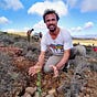 Diego Galli's avatar