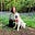 Sarah Jones's avatar