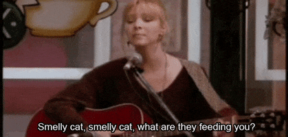 Phoebe singing Smelly Cat