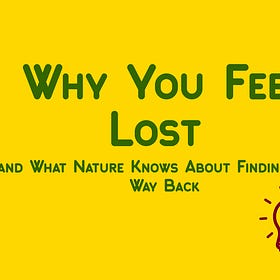 Why You Feel Lost (and What Nature Knows About Finding Your Way Back)