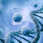 The Case of the Embryo Mix-Up