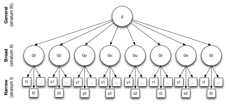 Carroll's Three Stratum Model of Human Intelligence: General intelligence (g) fluid intelligence (Gf), crystallized intelligence (Gc), general memory and learning (Gy), broad visual perception (Gv), broad auditory perception (Gu), broad retrieval ability (Gr), broad cognitive speediness (Gs), and processing speed (Gt). Carroll's Three Stratum Model of Human Intelligence: General intelligence (g) fluid intelligence (Gf), crystallized intelligence (Gc), general memory and learning (Gy), broad visual perception (Gv), broad auditory perception (Gu), broad retrieval ability (Gr), broad cognitive speediness (Gs), and processing speed (Gt).