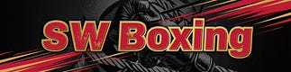 Steve’s Boxing Substack