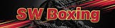 Steve’s Boxing Substack