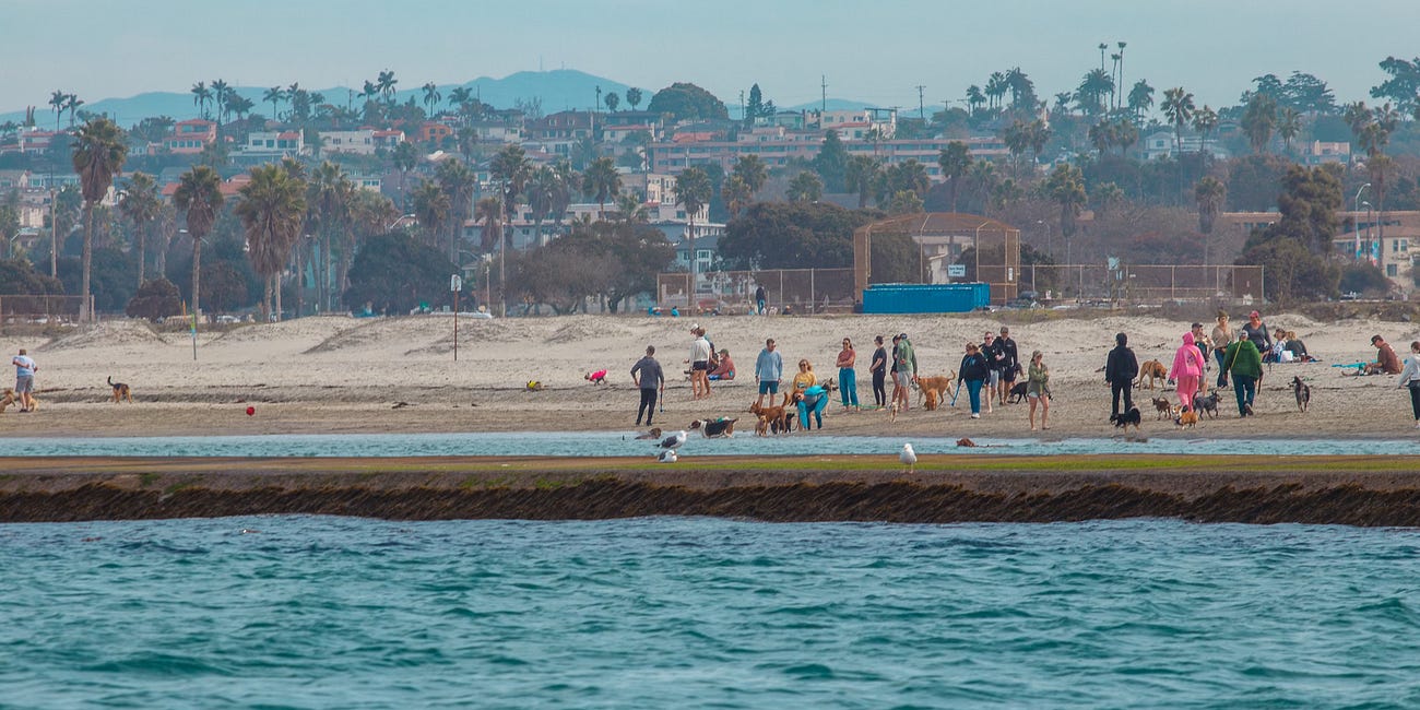San Diego Dog Beaches