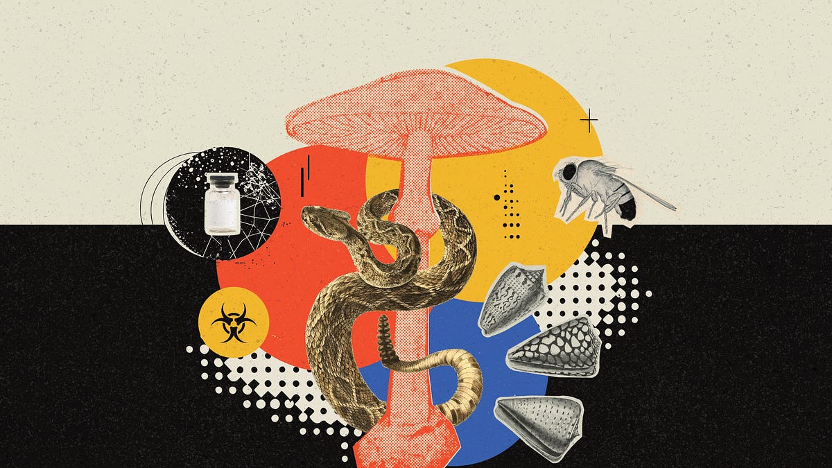 Toxic Proteins for Drug Discovery