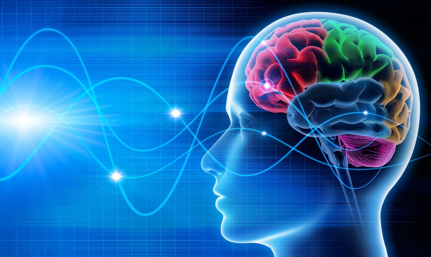 How Biofeedback and Neurofeedback therapy works | DynamicBrain