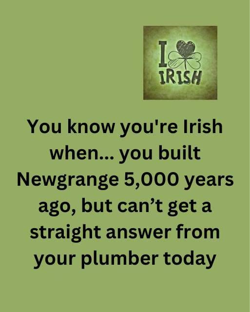 May be an image of text that says "果 I IRISH You know you're Irish when... you built Newgrange 5,000 years ago, but can't get a straight answer from your plumber today"