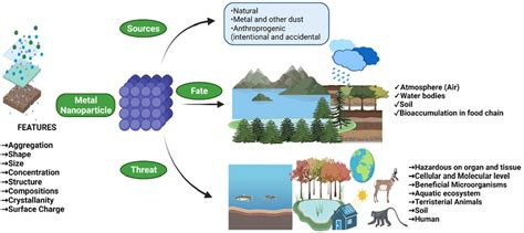 Features, sources, and the fate of metal nanoparticles and their... | Download Scientific Diagram