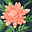 Jes4freedom's avatar