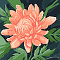 Jes4freedom's avatar