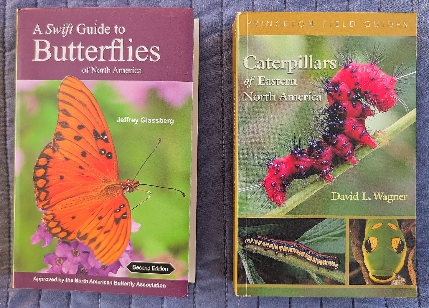 Butterfly and Caterpillar field guides