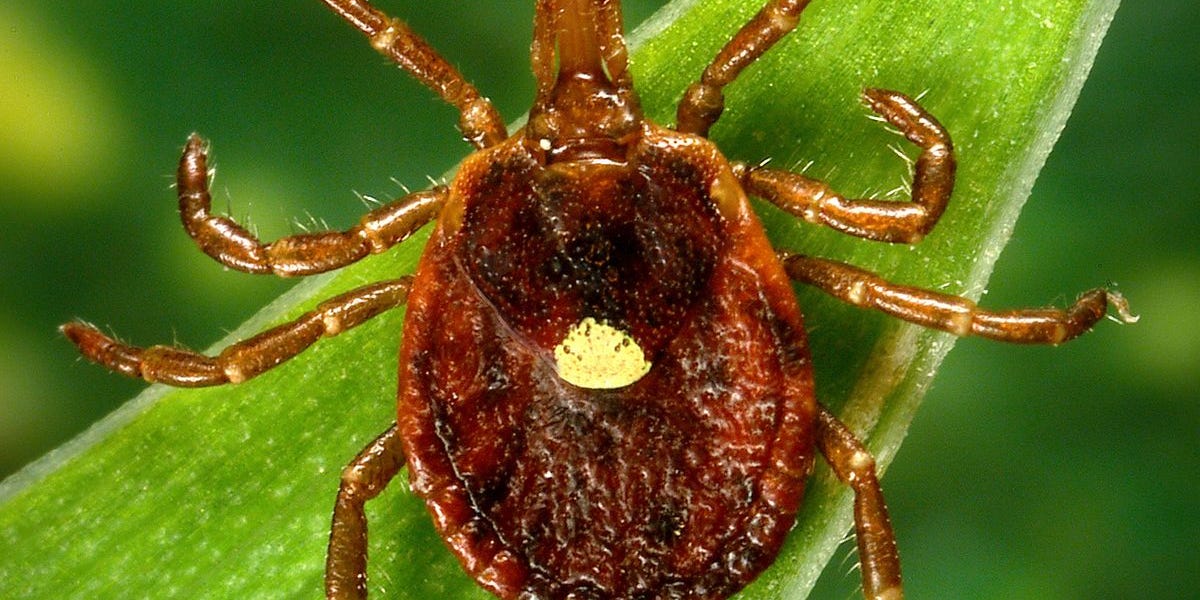 thewinepress.substack.com