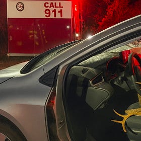 Luray Firefighters Respond to Vehicle-Deer Collision on US 211