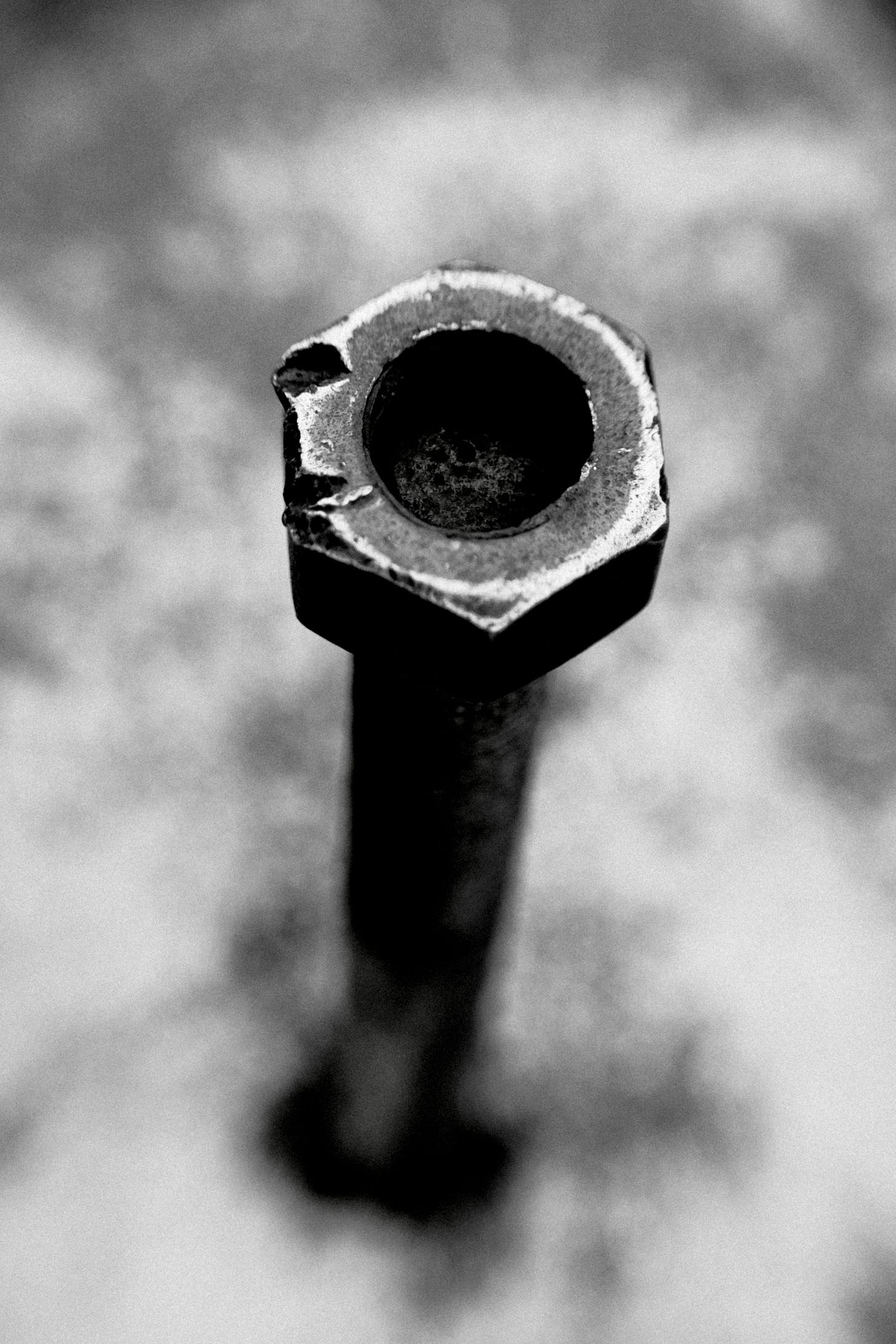 Bolt