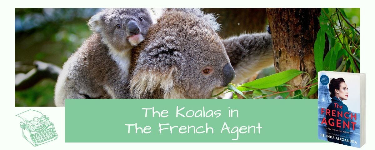 Light green border, inset a koala and her joey on her back in a tree surounded by gumleaves. Text: The Koalas in The French Agent. On the bottom right-hand-side is a picture of the book The French Agent
