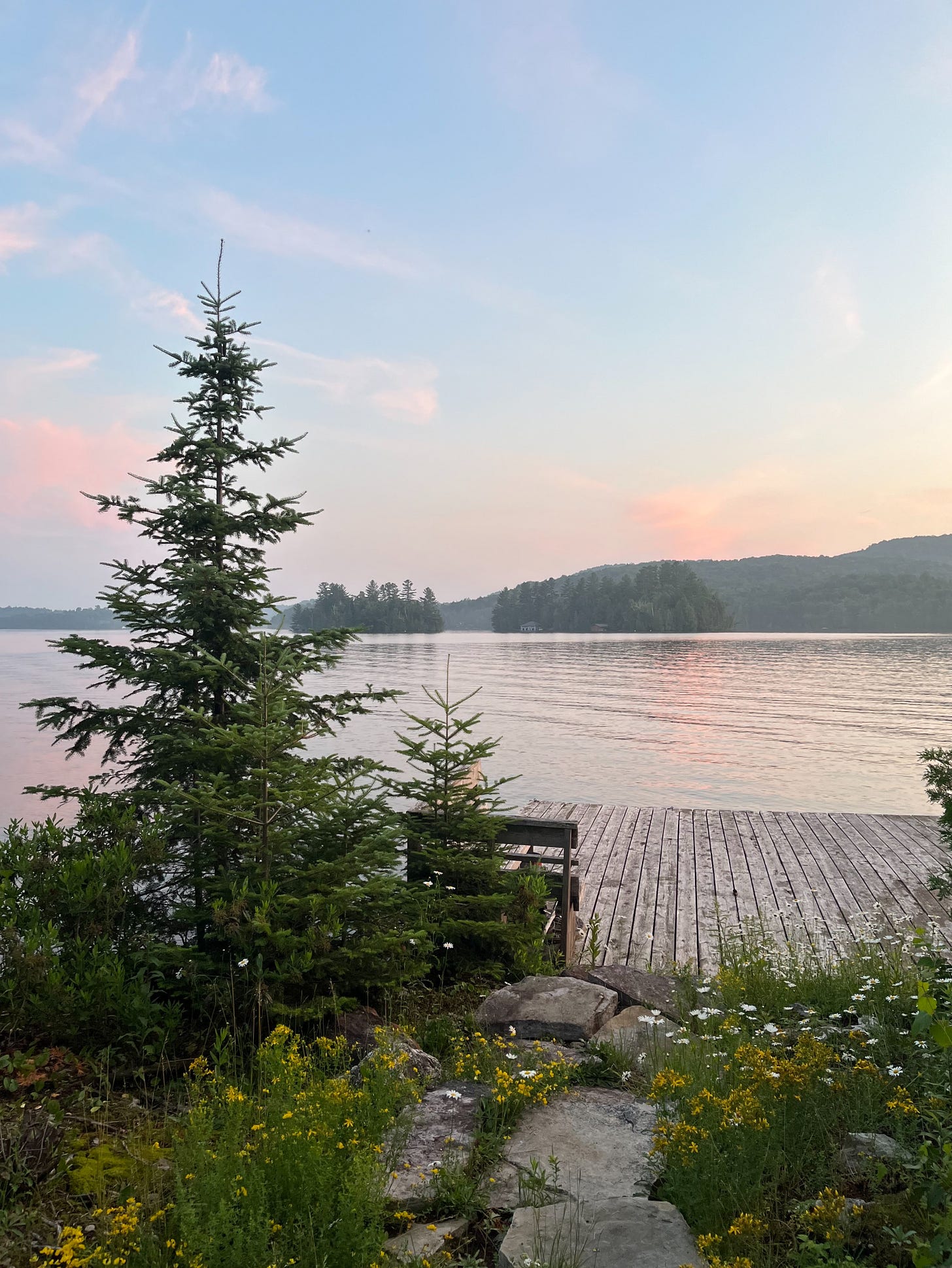 The view from the base of a wooden dock on a large, calm lake after sunset. There are wildflowers at the base of the dock and small fir trees to its left. The sky is blue with pink clouds over the opposite side of the lake.