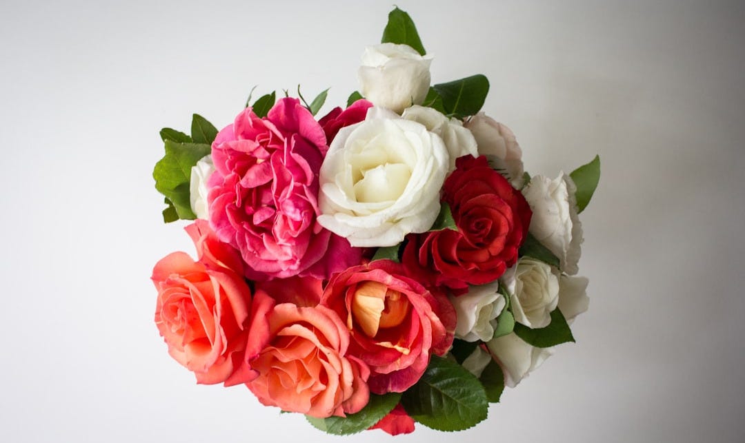 pink and white rose bouquet pink and white rose bouquet