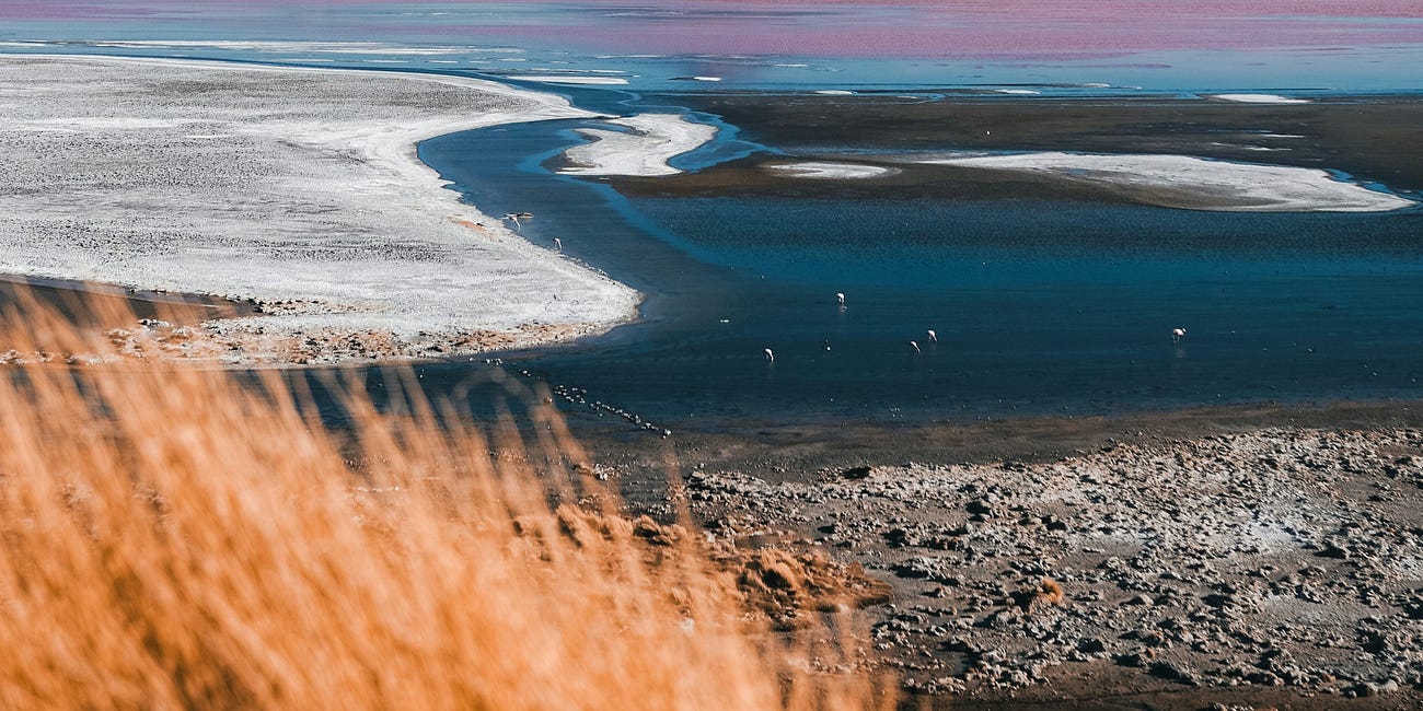 You Will Receive the Crown of Glory