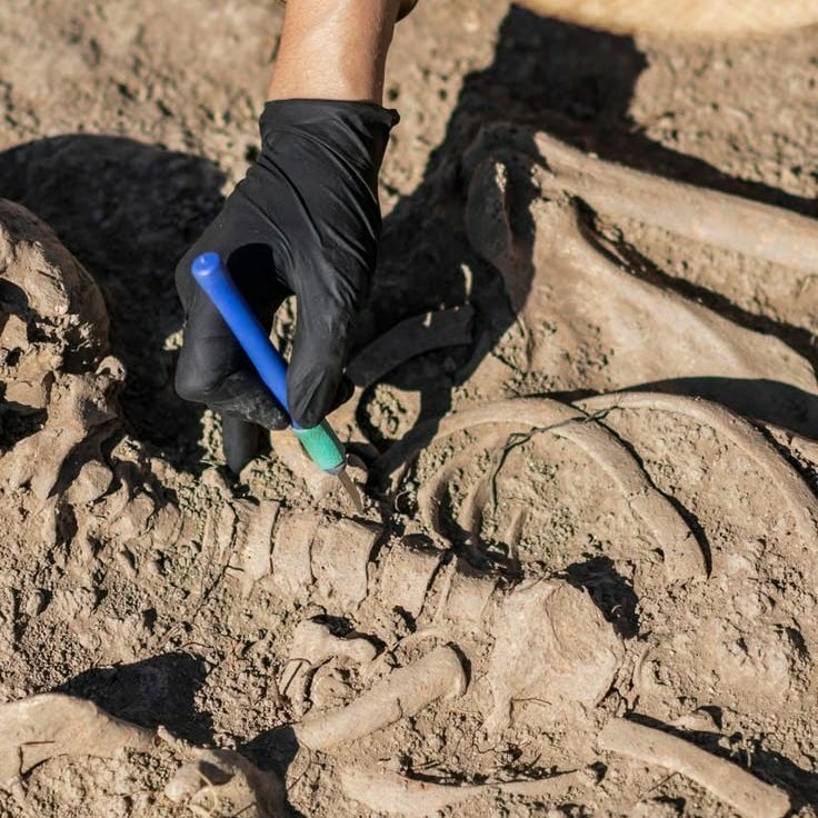 Substack profile picture for @archaeological