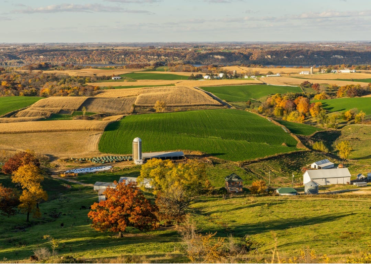 Title: Most Rural Counties in Illinois | Stacker Title: Most Rural Counties in Illinois | Stacker