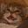 Horstman5's avatar