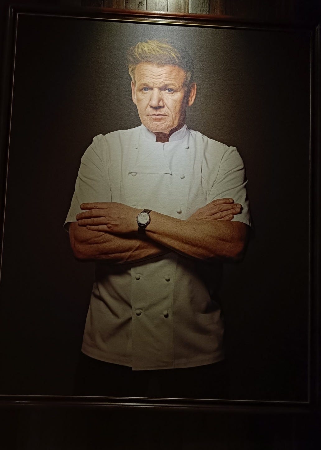 Gordon Ramsay portrait