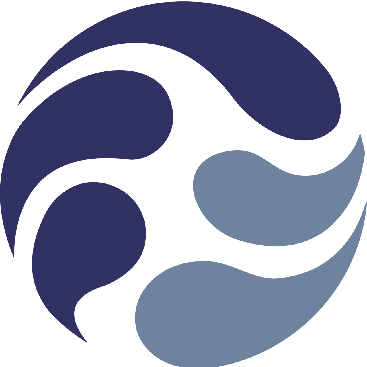 The Center for Conflict and Cooperation at NYU