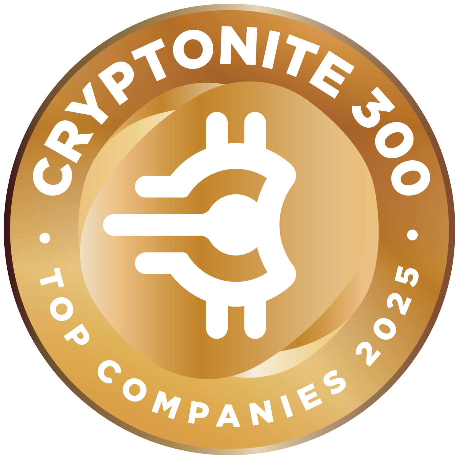 Full version] Introducing the 2025 Cryptonite 300—Private Web3 companies  worth the bet