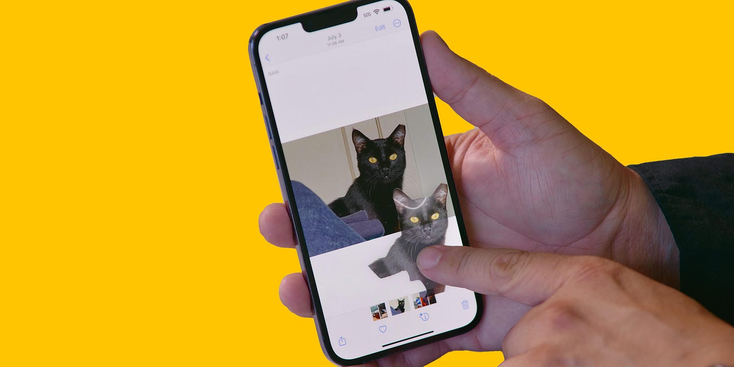 iOS 16's Photo Editing Tool for iPhone Makes Erasing Objects Feel Like  Magic - CNET