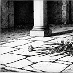 The Falcon's Children