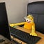User's avatar