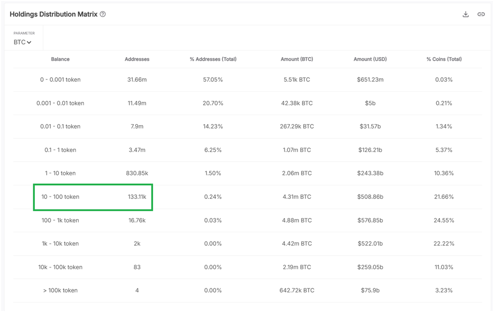 Bitcoin Wallet Holdings