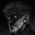 Ray Arkonin's avatar
