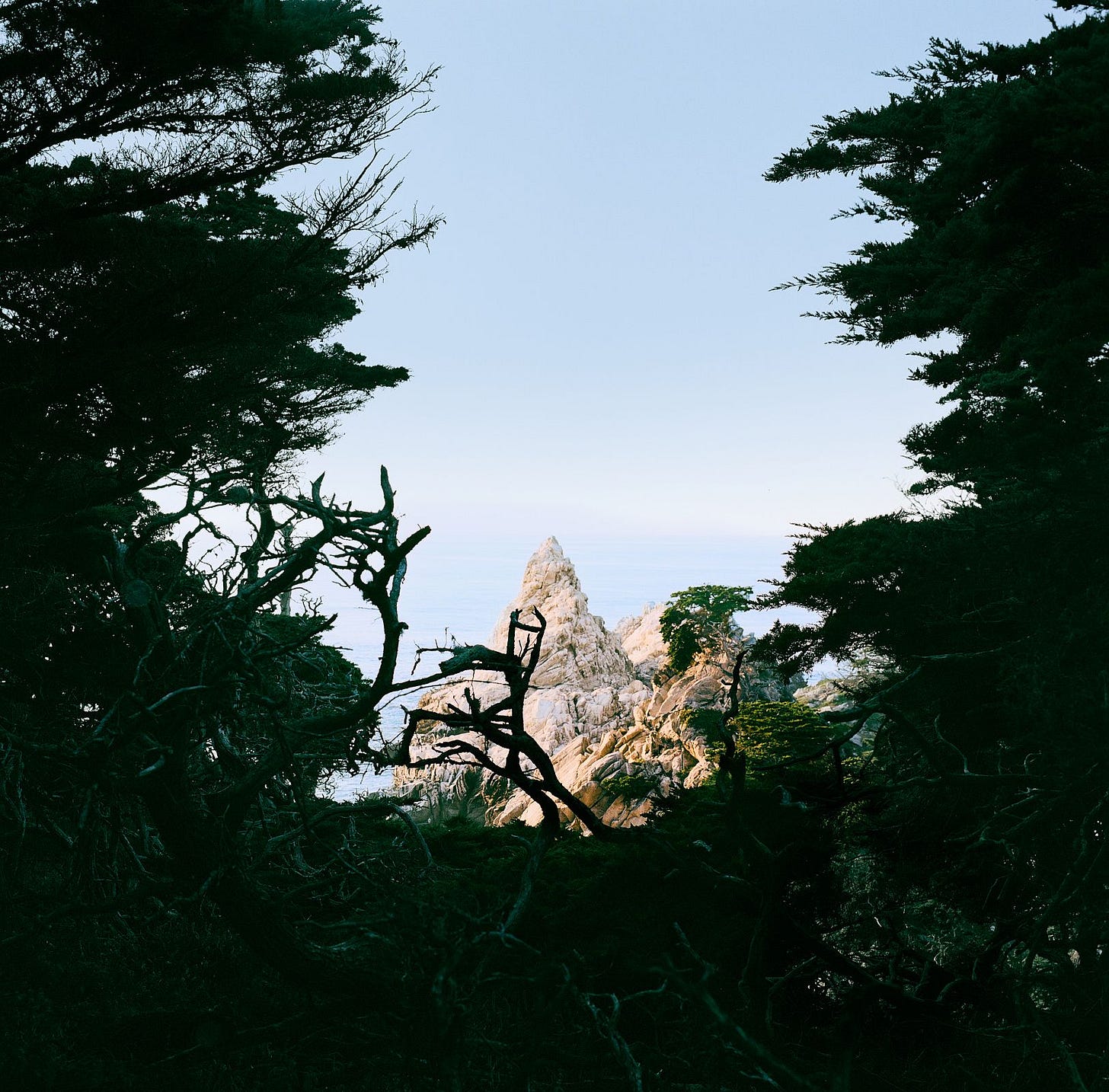 The Evolution Of My Gear In 2023: Ricoh GR IIIx And Hasselblad 500 C/M