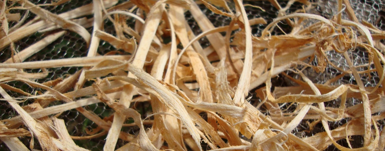 A layer of thin strips of pale inner bark