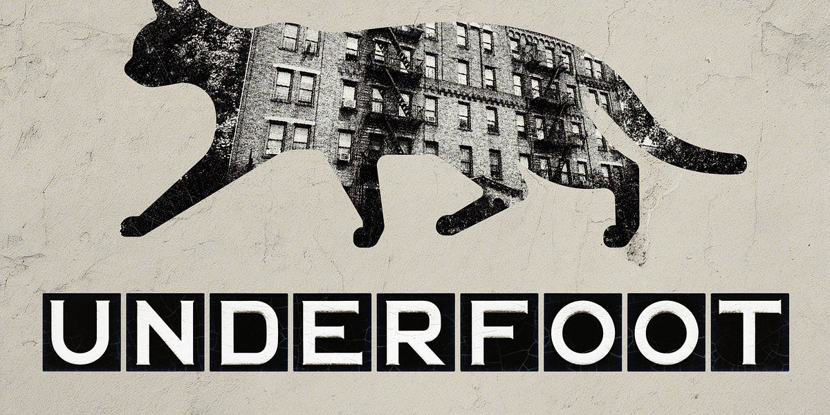 Underfoot, coming this November - Flatbush Cats