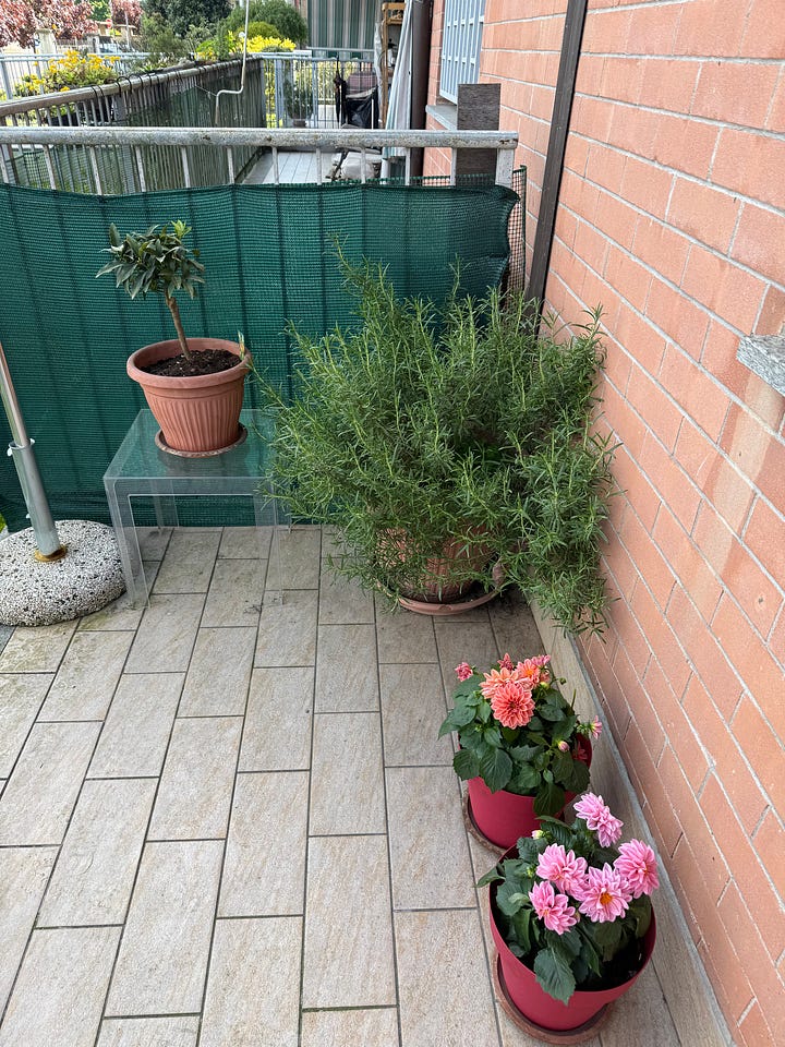 Photos of my new green balcony