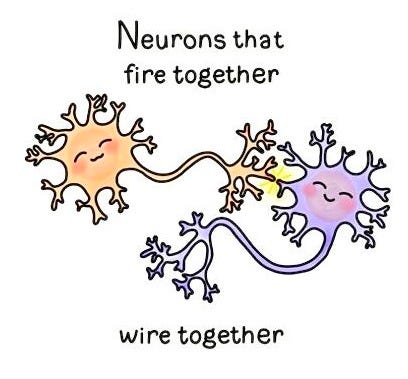 This may contain: two neurons that are connected to one another with the words, wire together This may contain: two neurons that are connected to one another with the words, wire together