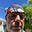 Stephen Bondar's avatar