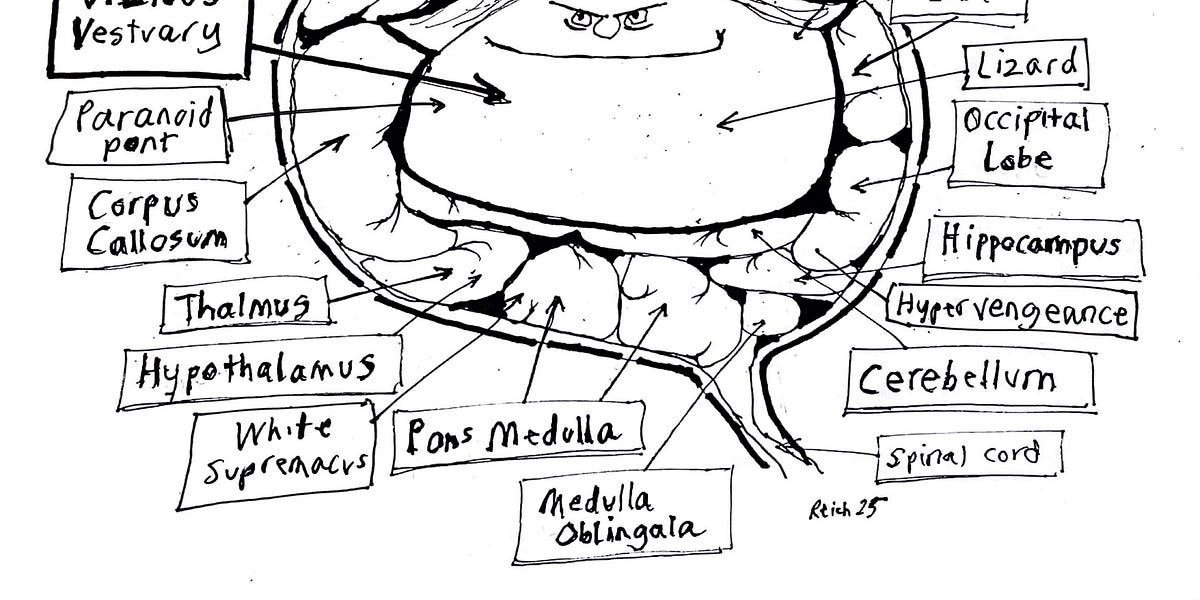 What’s the “news” under Trump? What’s the “news” under Trump?