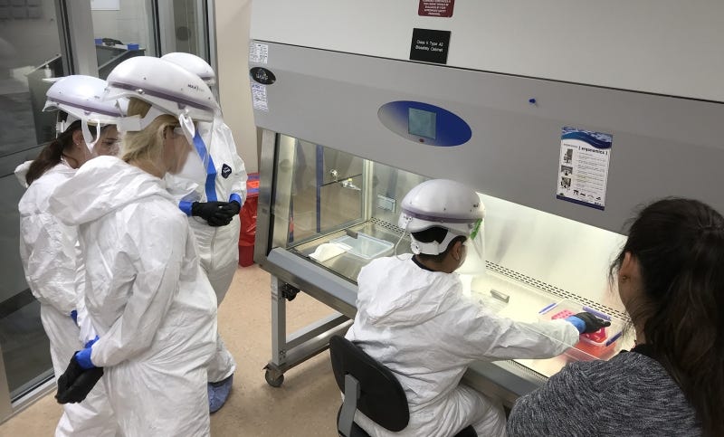 Yes, viruses transmit between mammals including humans: ten studies 