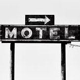 motle motle
