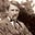 Hemsley Hawes's avatar