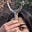 Agnes (Sar)'s avatar