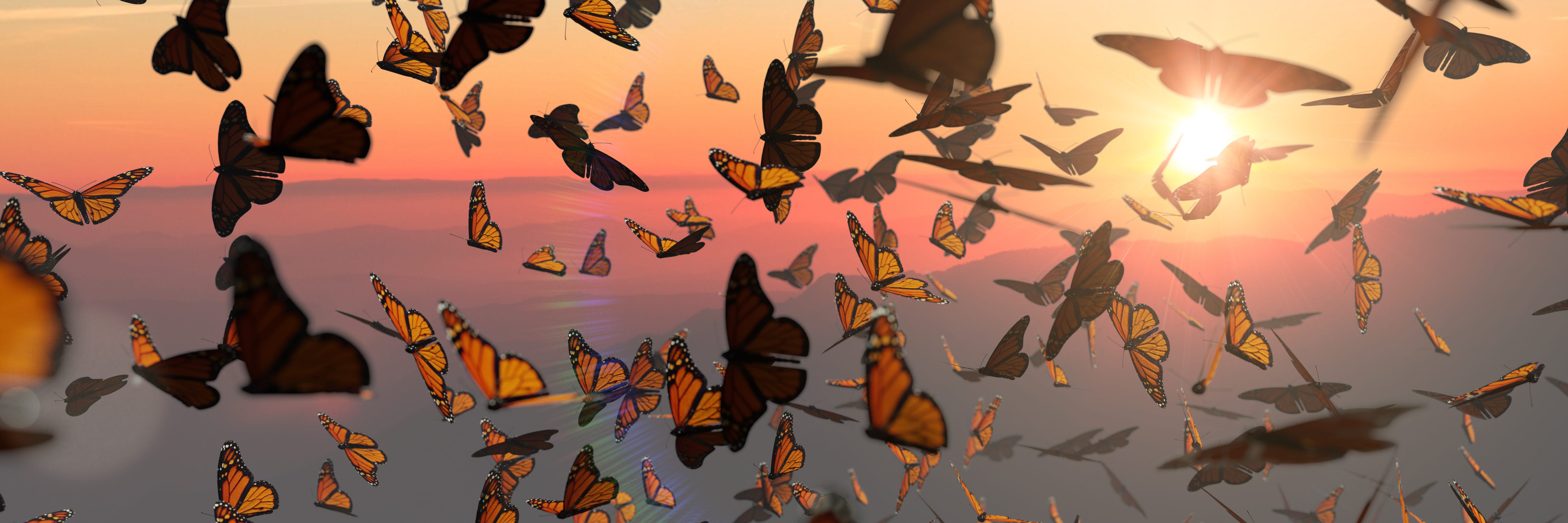 Devolving Nature Why We Can’t Restore Nature by Recreating the Past